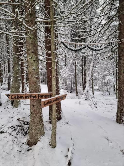 Treetop Ekne - Hytte I Skogen Med Hengebru Hotell Levanger Exteriör bild