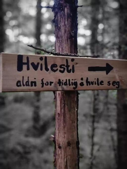 Treetop Ekne - Hytte I Skogen Med Hengebru Hotell Levanger Exteriör bild