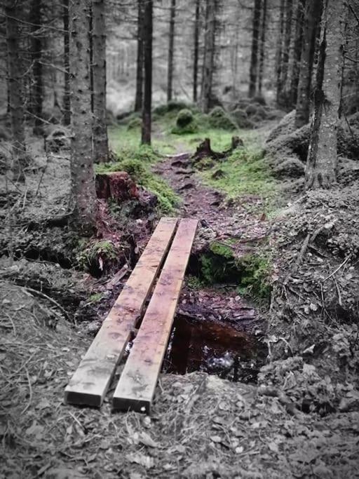 Treetop Ekne - Hytte I Skogen Med Hengebru Hotell Levanger Exteriör bild