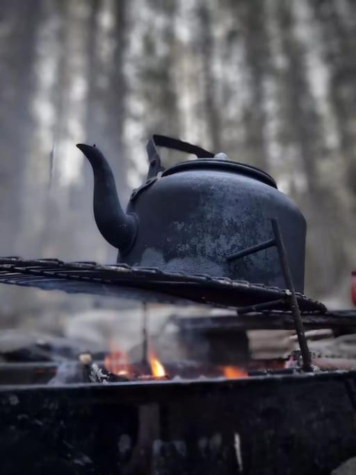 Treetop Ekne - Hytte I Skogen Med Hengebru Hotell Levanger Exteriör bild