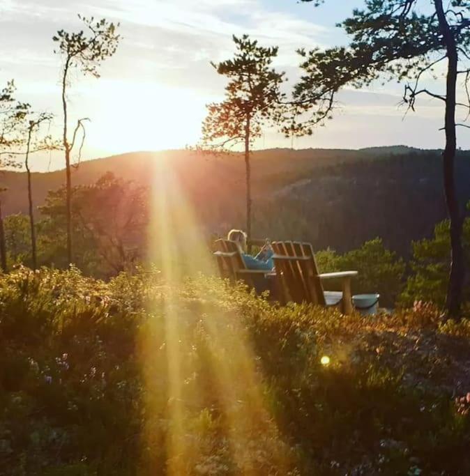 Treetop Ekne - Hytte I Skogen Med Hengebru Hotell Levanger Exteriör bild