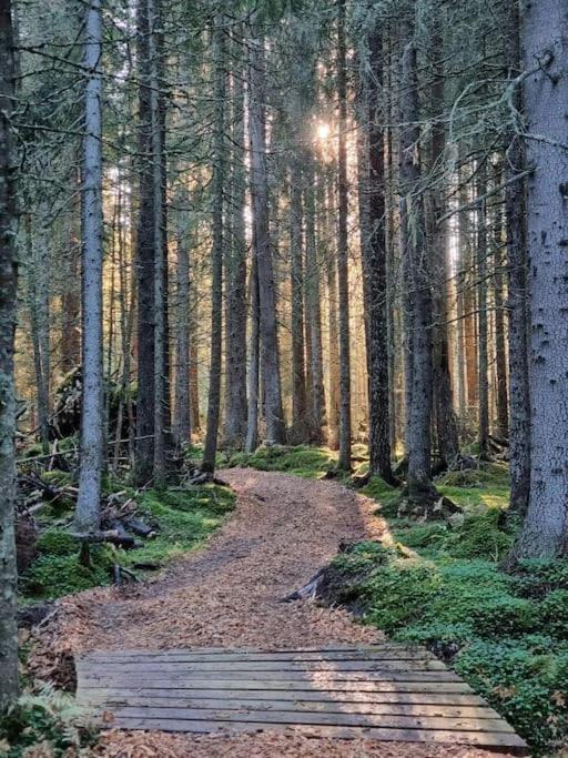 Treetop Ekne - Hytte I Skogen Med Hengebru Hotell Levanger Exteriör bild