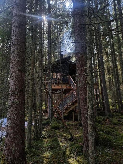 Treetop Ekne - Hytte I Skogen Med Hengebru Hotell Levanger Exteriör bild