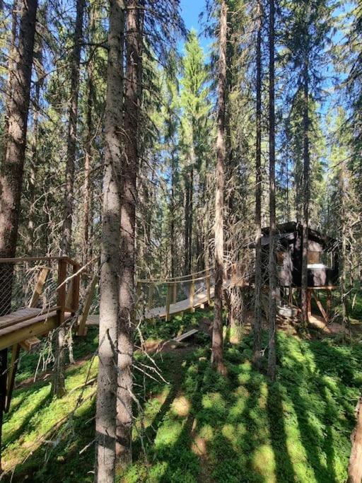 Treetop Ekne - Hytte I Skogen Med Hengebru Hotell Levanger Exteriör bild