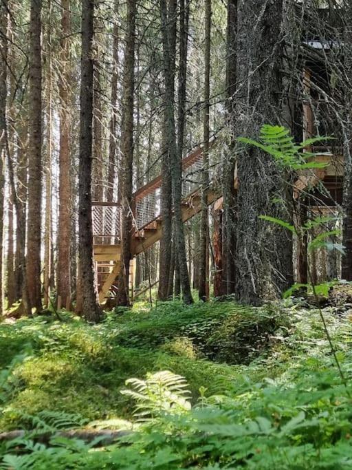 Treetop Ekne - Hytte I Skogen Med Hengebru Hotell Levanger Exteriör bild